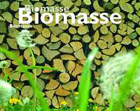 Centrali a biomasse. Sei impianti ad Aprilia. Questo giovedì la Commissione per il Regolamento.