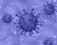 Coronavirus, nel Lazio ieri altri 12.651 casi. Nella Asl di Latina 1.067 positivi e 2 decessi